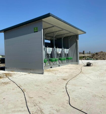 Quattro XL Kalverhut in gebruik