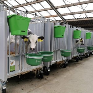 Topcalf Mono XL Kalverboxen op een rij Mono kalverbox XL