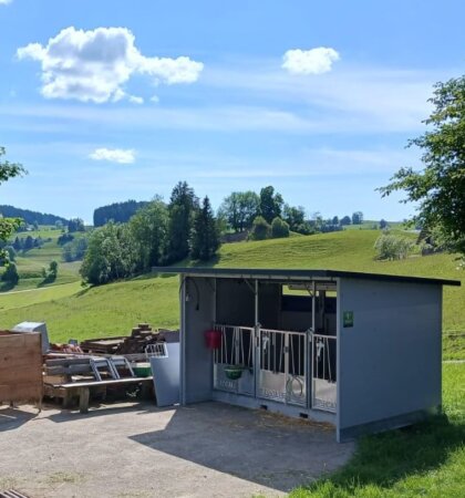 Trio kalverhok met dak