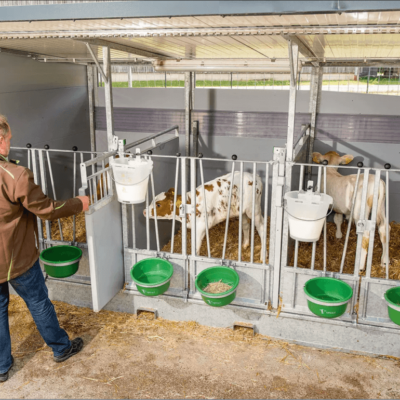 Topcalf Trio XXL Kalverhut uitneembare tussenwand Trio kalverhok met dak