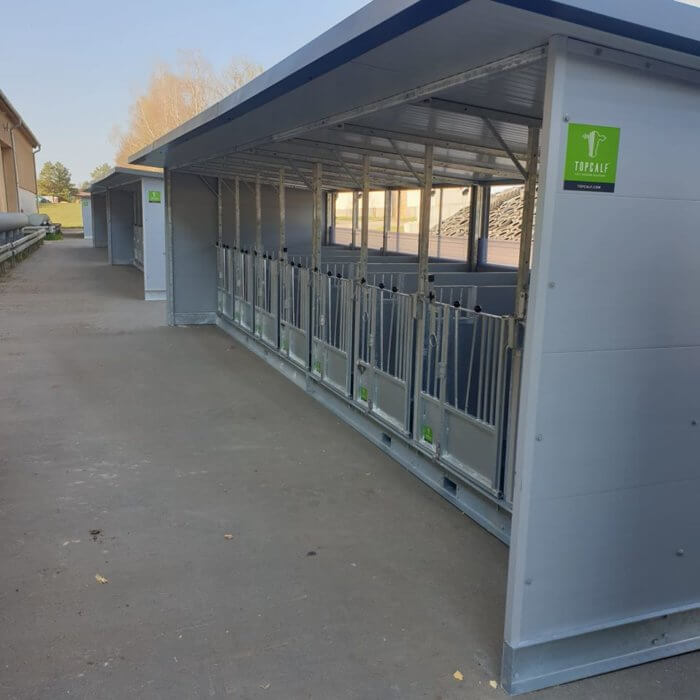 Calf hutches with space for 8 calves