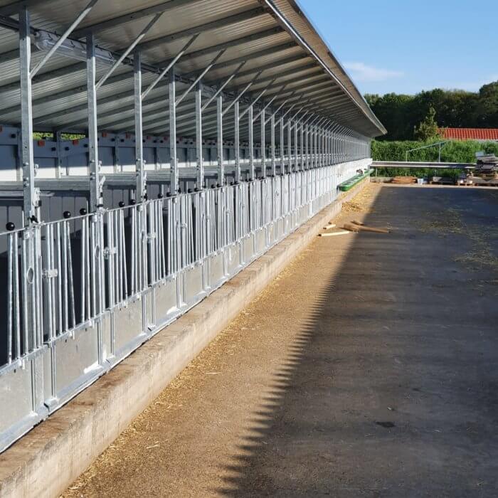 Major renovation: convert 100 lying areas into Topcalf boxes