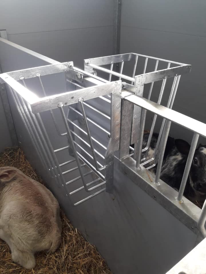 Hay rack 50 years experience in calf housing Topcalf