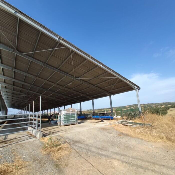XL Double calf hutch in Portugal