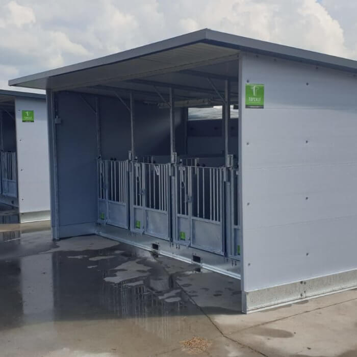 Two Quattro Calf Hutches in Holland