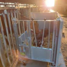 First care calf hutch