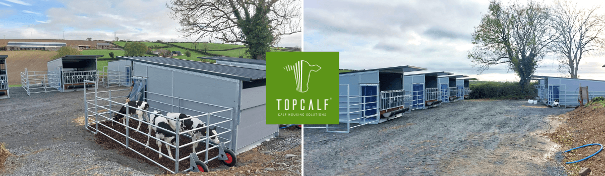 Groepshuisvesting kalveren