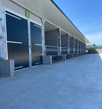 Topcalf Kalverstal