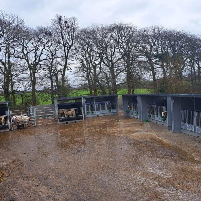 Four Trio EasyClean XXL deliverd in the UK