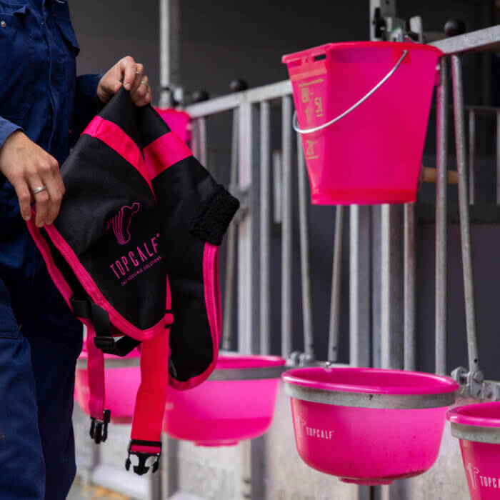 Temperatures are dropping – when is it time to put the calf jackets back on?