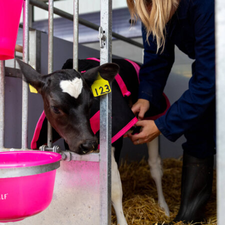 089A0984-bewerkt 089A0984-bewerkt