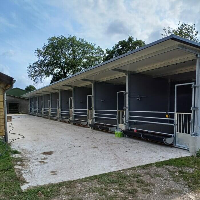 Strong start for calves in Schleswig-Holstein