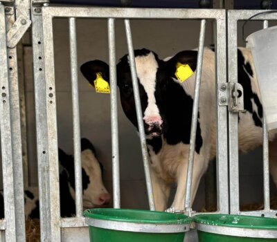 593607312_1322144419665028_3456218504719083346_n 593607312_1322144419665028_3456218504719083346_n