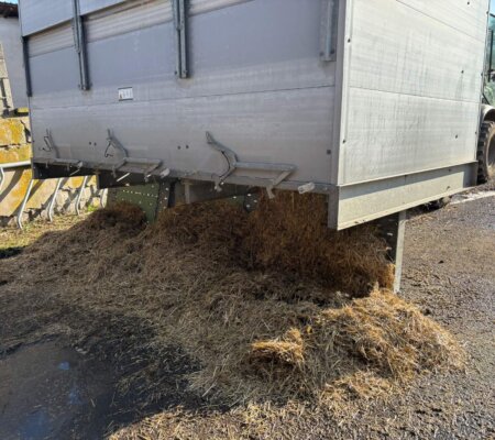 593936263_1473264134800301_3768994235254549511_n 593936263_1473264134800301_3768994235254549511_n