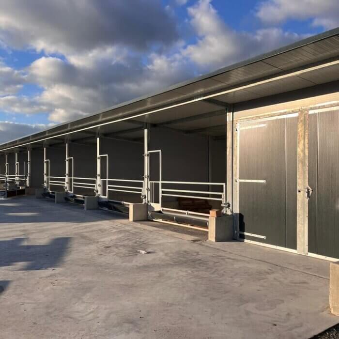 Optimisation of Calf Housing at Dairy Farm Fraune