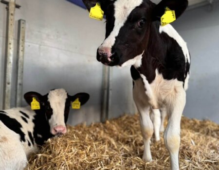 595208270_1397531805298324_5886850800925473796_n 595208270_1397531805298324_5886850800925473796_n