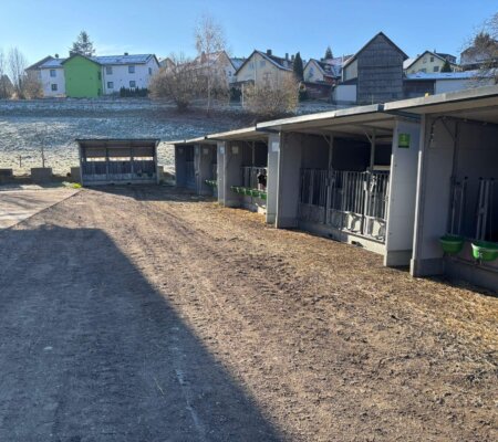 595739779_1473264121466969_2914252622650789434_n 595739779_1473264121466969_2914252622650789434_n