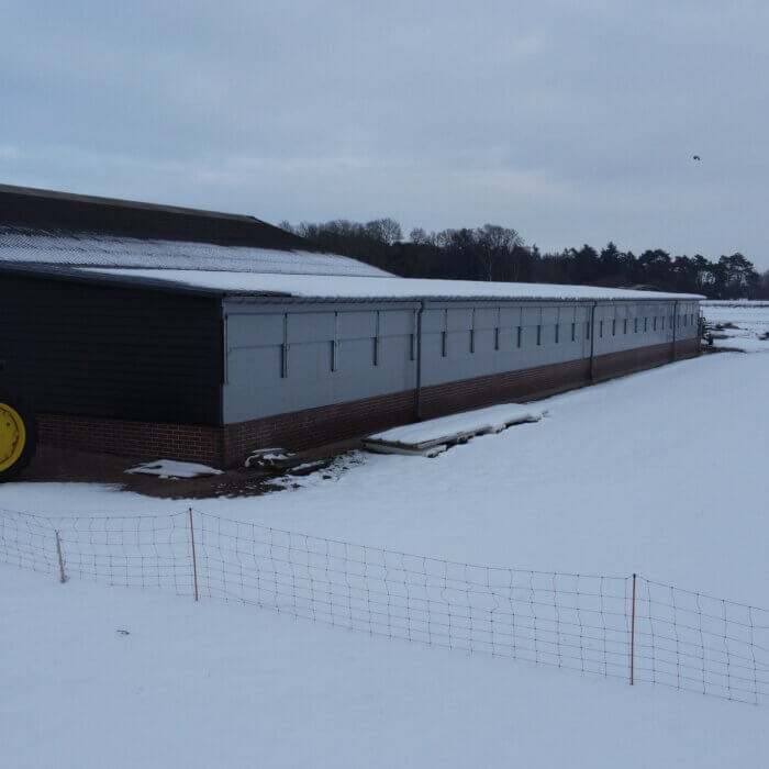Is your calf shed winter-proof? Do the quick winter check