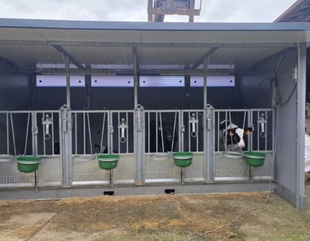 26f40267-cbad-4a6d-9ce4-abac5438a232 (1)