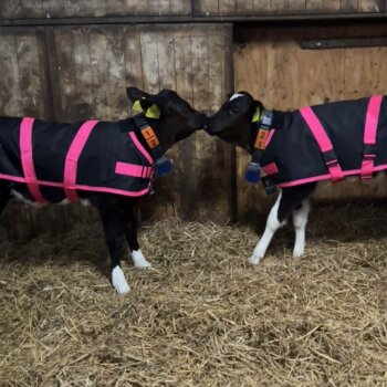 Afbeelding van WhatsApp op 2025-12-10 om 19.09.47_15c7eae5 Afbeelding van WhatsApp op 2025-12-10 om 19.09.47_15c7eae5