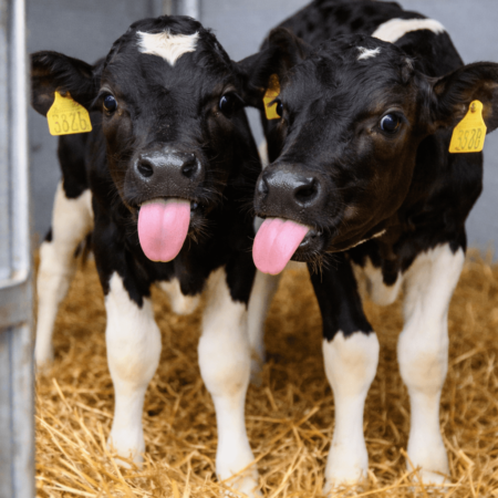 ChatGPT Image 31 mrt 2026, 13_54_28 ChatGPT Image 31 mrt 2026, 13_54_28