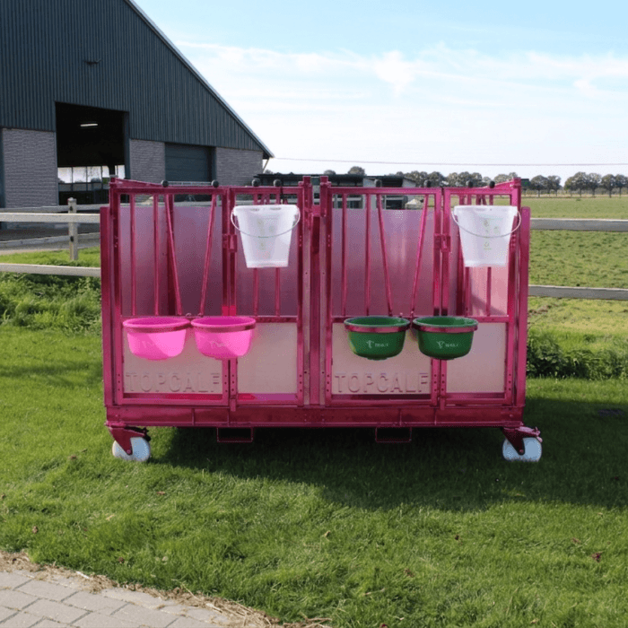𝗟𝗜𝗠𝗜𝗧𝗘𝗗 𝗘𝗗𝗜𝗧𝗜𝗢𝗡: Duo XL EasyClean in Pink