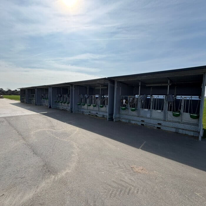 Trio Calf Hutch Project in Belgium