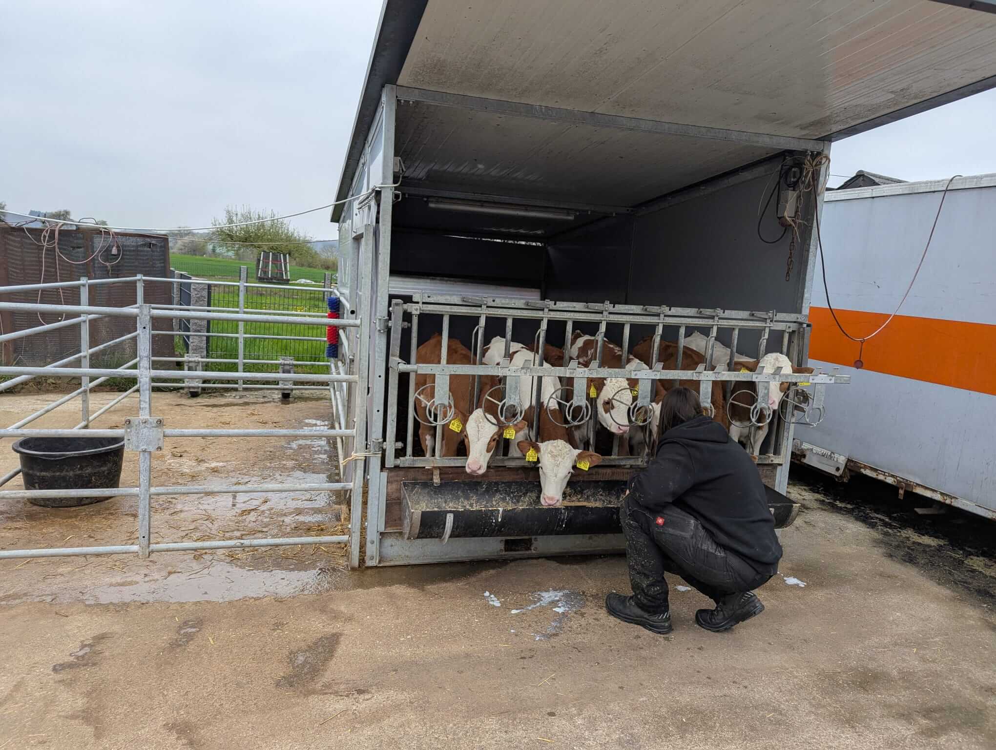 WhatsApp Image 2026-04-15 at 18.08.21 WhatsApp Image 2026-04-15 at 18.08.21