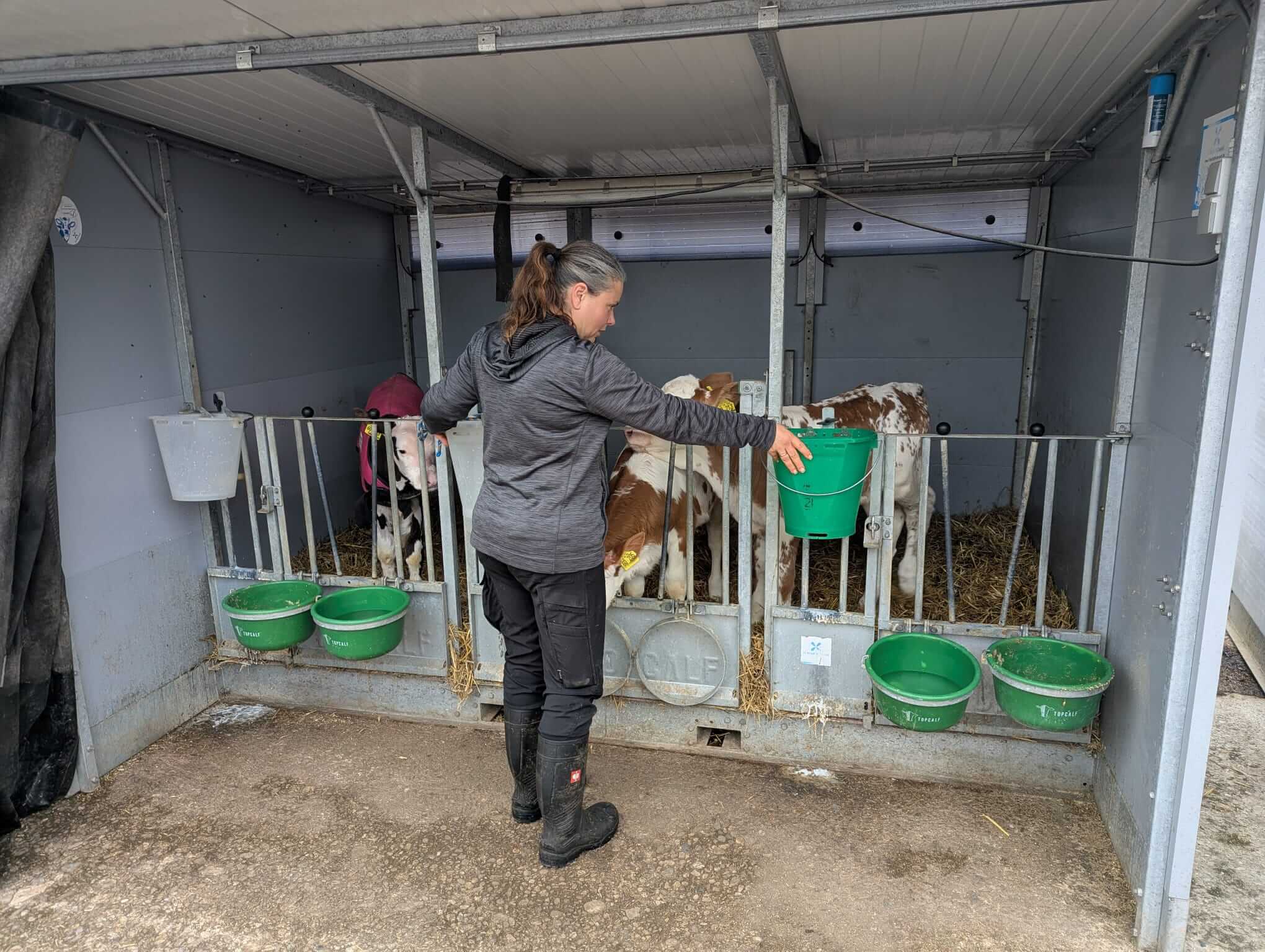 WhatsApp Image 2026-04-15 at 18.08.23 WhatsApp Image 2026-04-15 at 18.08.23