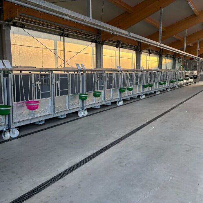 Flexible and Practical Calf Housing with the Topcalf Duo Calf Pen