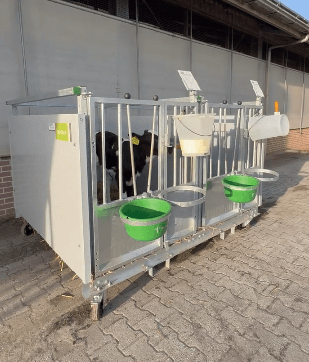 Sandra Meijer on her experience with the new Topcalf calf boxes