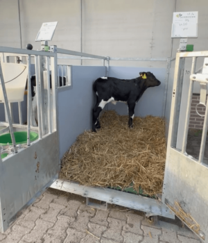 Schermafbeelding 2026-05-01 082157