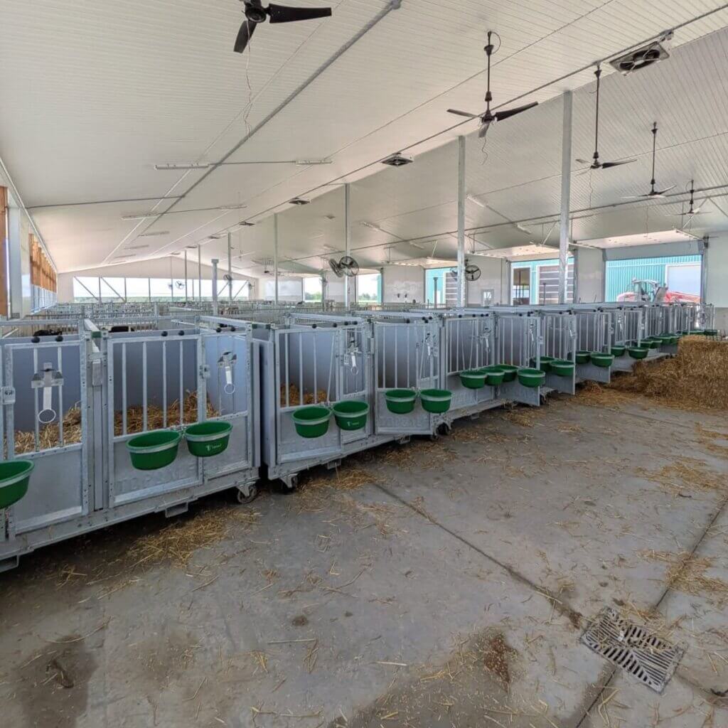 Duo XL calf pens for a Canadian dairy farm